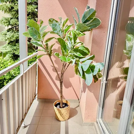 3 Bedroom With 2 Balconies Near Airport *