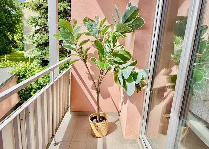 3 Bedroom With 2 Balconies Near Airport *